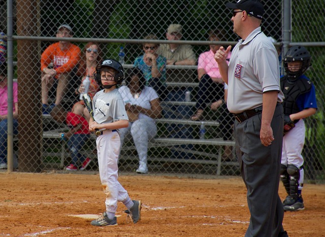 杯做出政策 杯做出政策